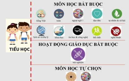 Những môn học bắt buộc ở bậc Tiểu học theo quy định trong chương trình phổ thông mới