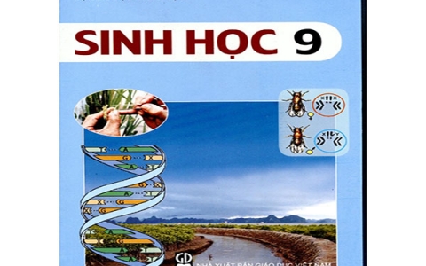 Học Sinh lớp 9 nên làm gì để học tốt môn Sinh học?