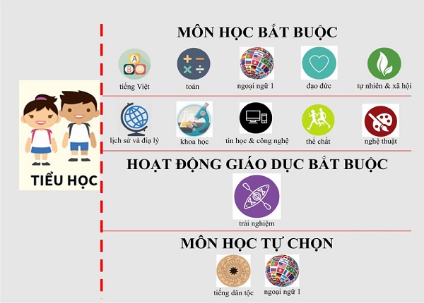 Những môn học bắt buộc ở bậc Tiểu học theo quy định